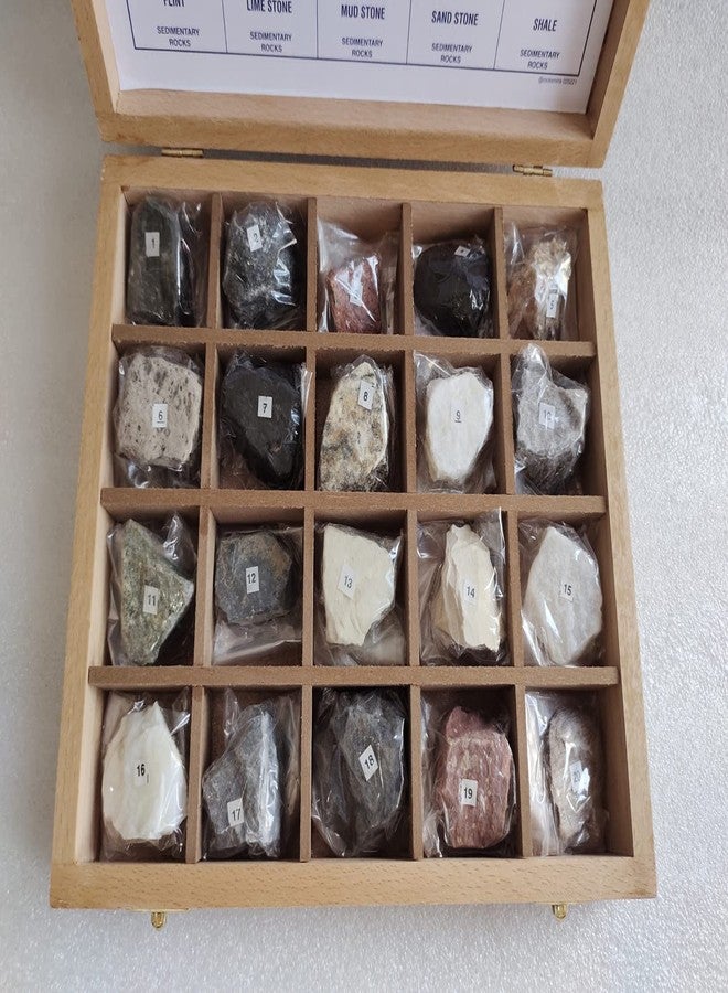 Rocksmins RO20WB-Export-SC Collection of 20 Rocks in a Export Quality Steam Beach Wood Wooden Box 20 Big Specimen Set of Rock Igneous Sedimentary Metamorphic Rock Collection Geology Kits for Study - Image 3